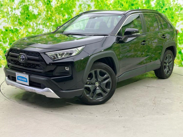 RAV42.0 アドベンチャー 4WD