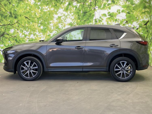 CX-52.0 20S シルク ベージュ セレクション