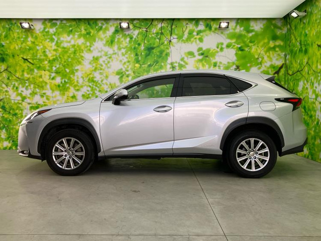 NX300h Iパッケージ