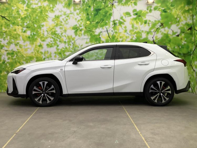 UX250h Fスポーツ エモーショナル エクスプローラー