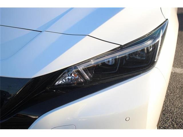 ���Ǝҗl�ւ̔̔��͂��f�肳���Ă��������܂��B �Ԍ������ԗ��̏ꍇ�́A�Ԍ����擾�������x�������z�ŕ\�����Ă���܂��B