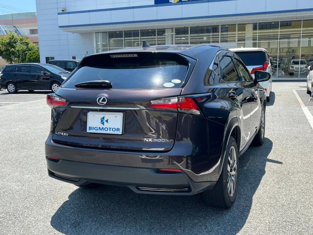 NX300h Iパッケージ