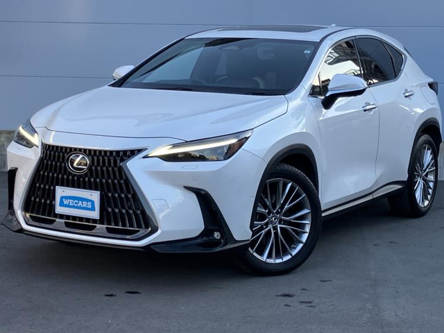 NX350h バージョンL