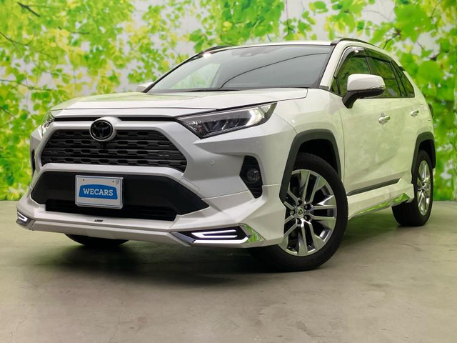 RAV42.0 G Zパッケージ 4WD