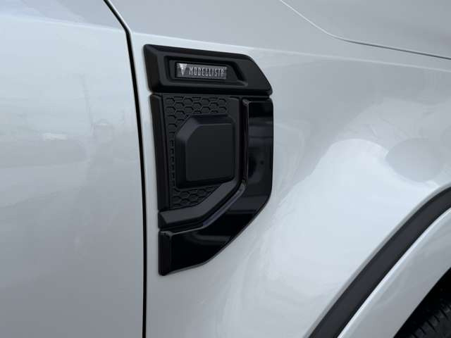 �y�I�v�V�����z���f���X�^�t�F���_�[�K�[�j�b�V���B