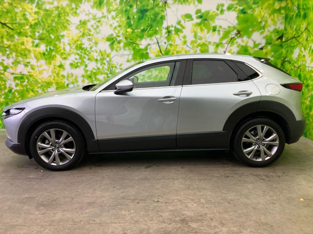 CX-301.8 XD Lパッケージ