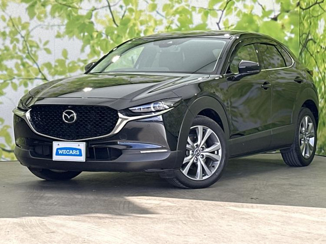 CX-301.8 XD Lパッケージ