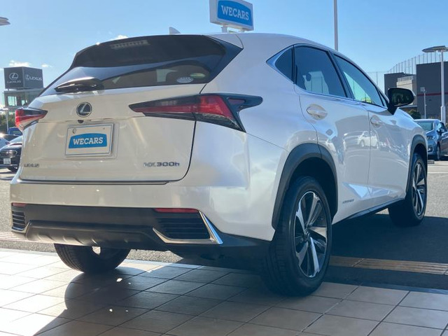 NX300h Iパッケージ