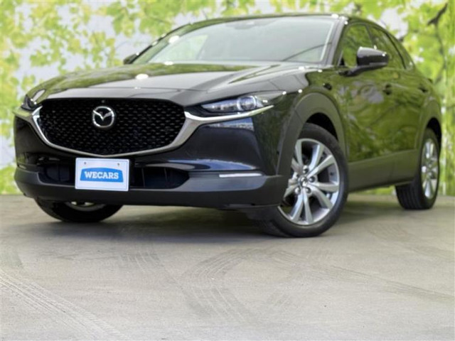 CX-301.8 XD Lパッケージ