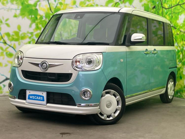 ムーヴキャンバスG メイクアップ SAII