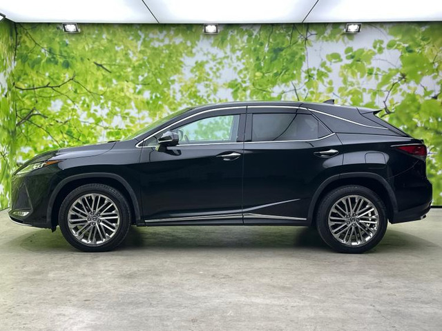 RX300 バージョンL