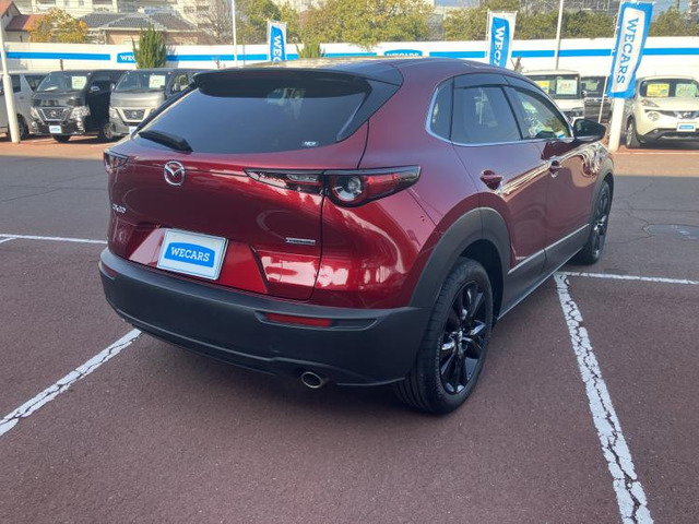 CX-302.0 20S ブラックトーンエディション