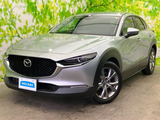 CX-301.8 XD Lパッケージ