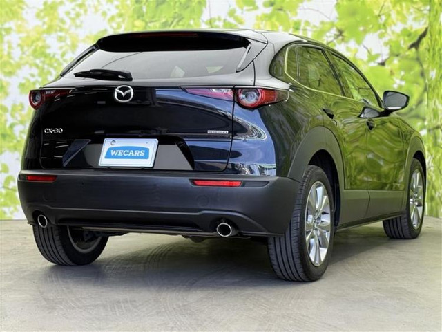 CX-301.8 XD Lパッケージ