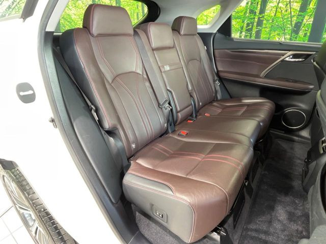 �㕔���Ȃ��C�ɂȂ�悤�ȃL�Y�E�����ւ��蓙�A�傫�ȃ_���[�W�͂Ȃ��A�ǍD�ȏ�Ԃł��B