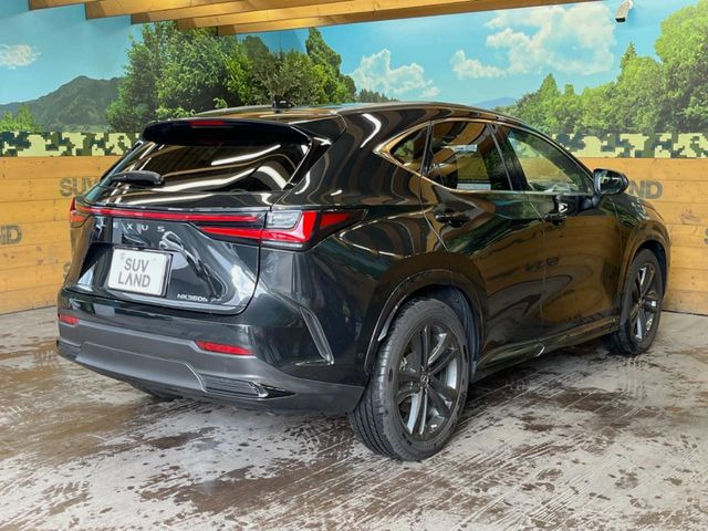 ���S���̃l�N�X�e�[�W���炨���񂹂��\��!�����̓X�܂ɓW�����Ă���N���}���C�ɂȂ�ꍇ���A�Ŋ��̓X�܂ł��������������Ƃ��\�ł�!���񎄂����ɗv�]������������������!���ʓr��p