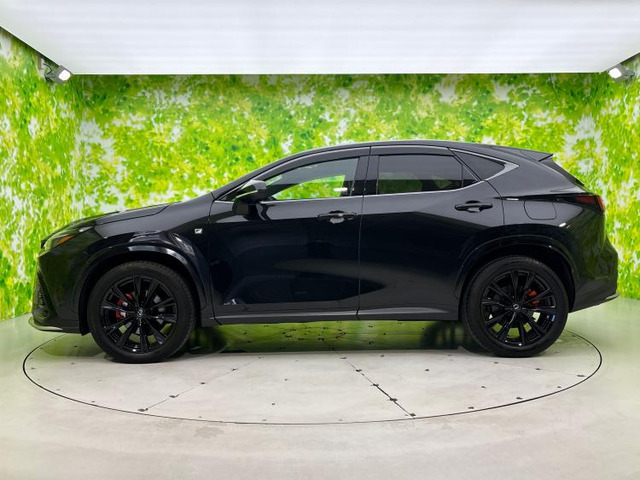 NX350 Fスポーツ 4WD