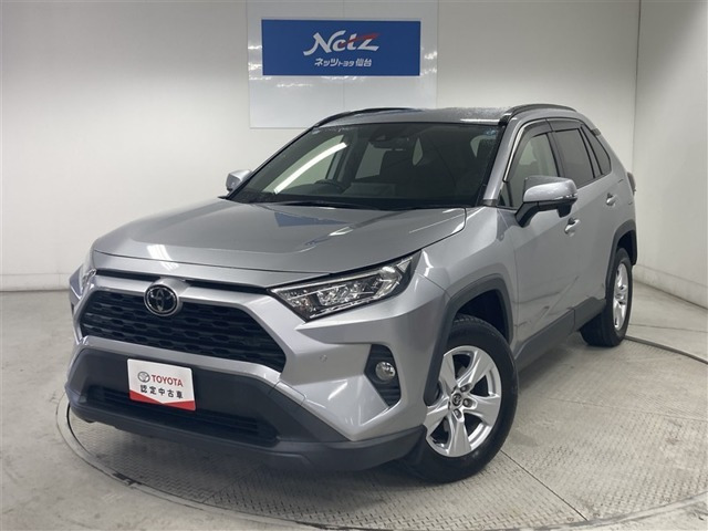 RAV42.0 X