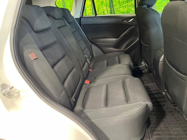 �㕔���Ȃ��C�ɂȂ�悤�ȃL�Y�E�����ւ��蓙�A�傫�ȃ_���[�W�͂Ȃ��A�ǍD�ȏ�Ԃł��B