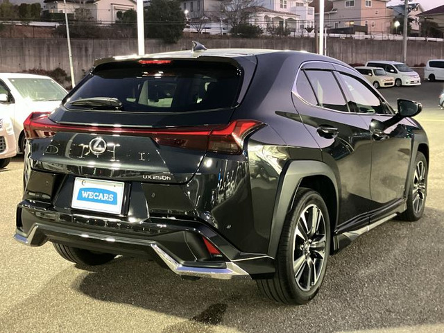 UX250h バージョンL