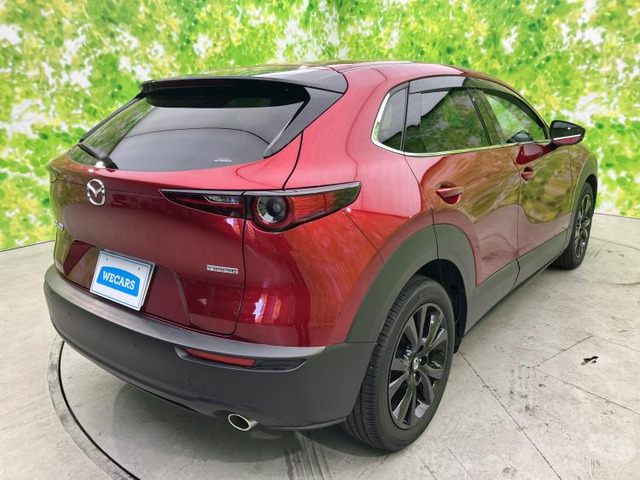 CX-302.0 20S ブラックトーンエディション