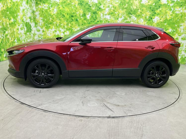 CX-302.0 20S ブラックトーンエディション