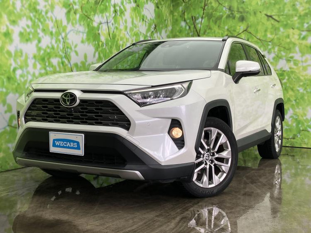 RAV42.0 G Zパッケージ 4WD