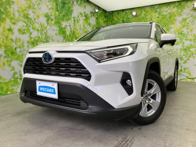 RAV42.5 ハイブリッド X