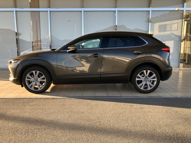 CX-302.0 20S プロアクティブ ツーリングセレクション