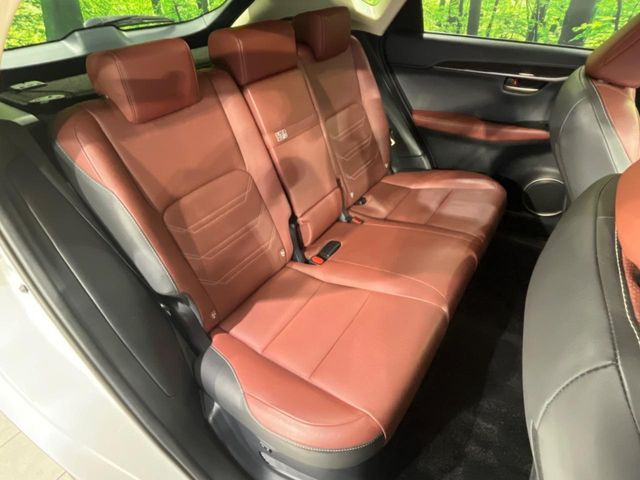 �㕔���Ȃ��C�ɂȂ�悤�ȃL�Y�E�����ւ��蓙�A�傫�ȃ_���[�W�͂Ȃ��A�ǍD�ȏ�Ԃł��B