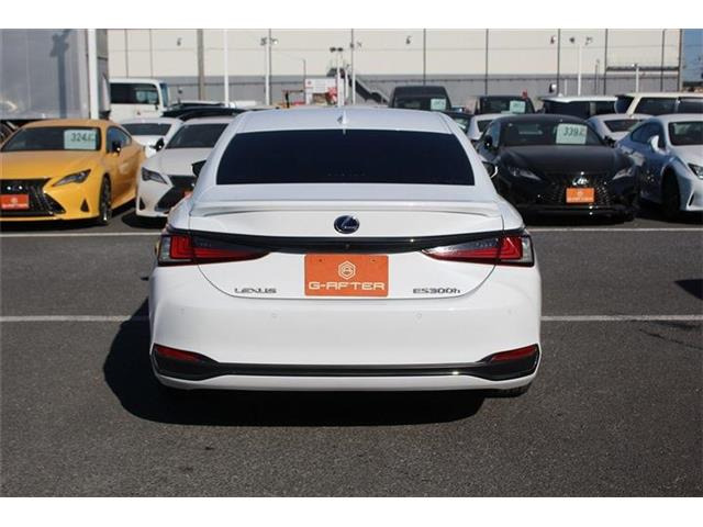 ���Ǝҗl�ւ̔̔��͂��f�肳���Ă��������܂��B�Ԍ������ԗ��̏ꍇ�́A�Ԍ����擾�������x�������z�ŕ\�����Ă���܂��B