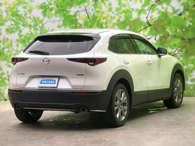 CX-301.8 XD プロアクティブ ツーリングセレクション