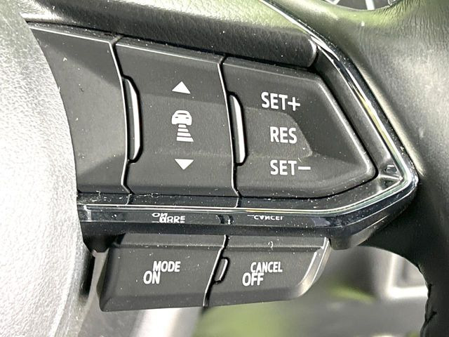 �y�}�c�_�E���[�_�[�N���[�Y�R���g���[���z�������H�ł̒��������s���y��!�����ő��x��ۂN���[�Y�R���g���[�����A�Փˌy���V�X�e���ƘA�g���A�O���̎ԗ������m���ĎԊԂ�ۂ悤�ɑ��x���߂��Ă���܂�!!