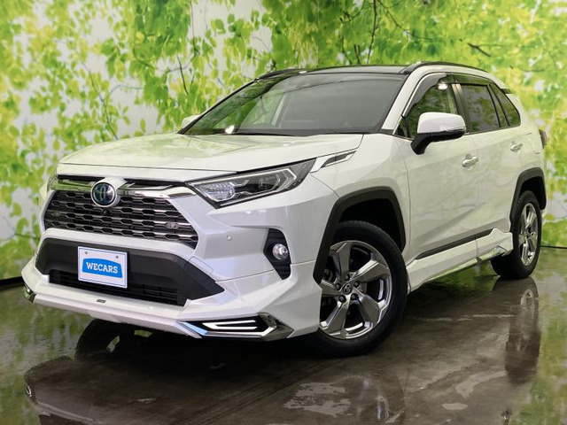 RAV42.5 ハイブリッド G E-Four 4WD