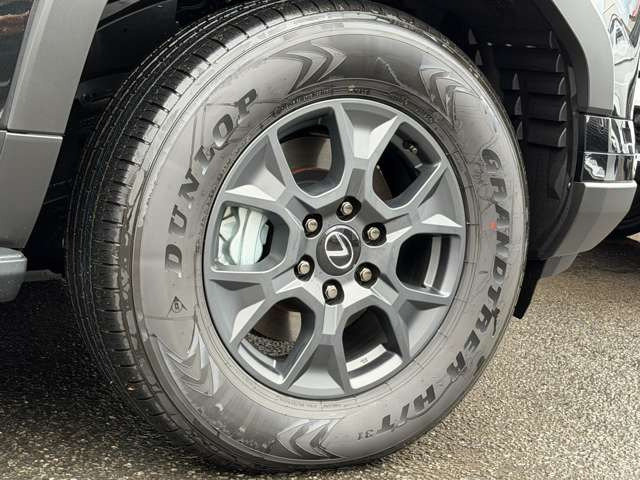 ����18�C���`�A���~�z�C�[��(�}�b�h�O���[�h��)