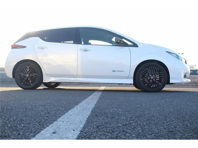 ���Ǝҗl�ւ̔̔��͂��f�肳���Ă��������܂��B �Ԍ������ԗ��̏ꍇ�́A�Ԍ����擾�������x�������z�ŕ\�����Ă���܂��B