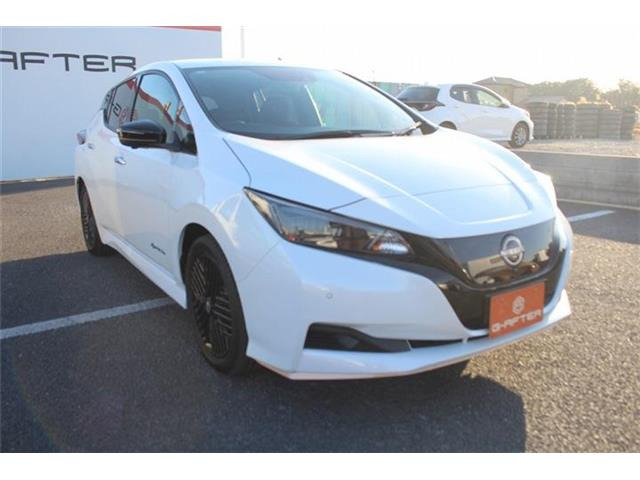 ���Ǝҗl�ւ̔̔��͂��f�肳���Ă��������܂��B �Ԍ������ԗ��̏ꍇ�́A�Ԍ����擾�������x�������z�ŕ\�����Ă���܂��B