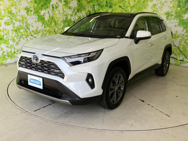 RAV42.5 ハイブリッド G E-Four 4WD