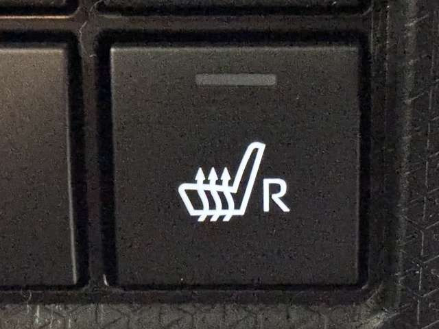 �^�]�ȑ��V�[�g�q�[�^�[�ō��ȃ|�J�|�J!