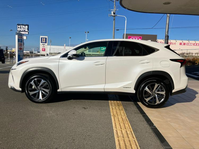 NX300h Iパッケージ