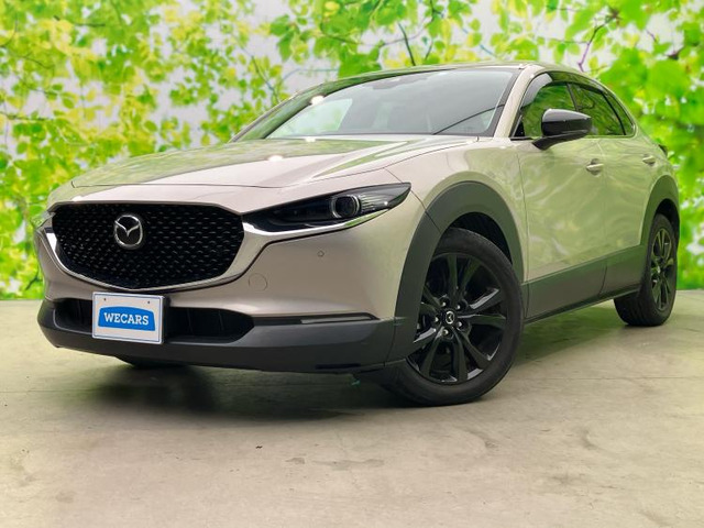 CX-302.0 20S ブラックトーンエディション