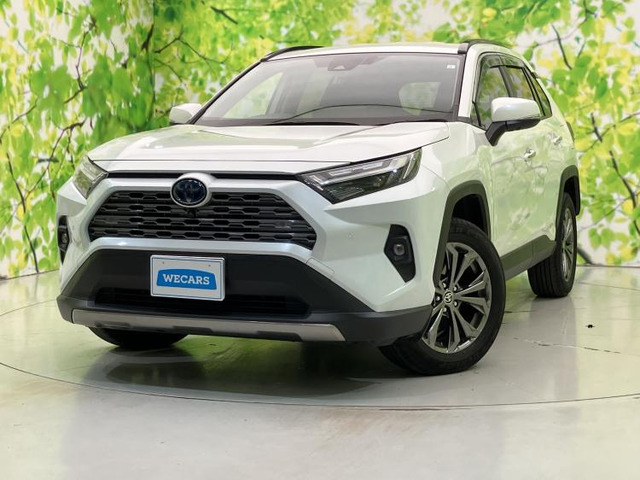 RAV42.5 ハイブリッド G E-Four 4WD