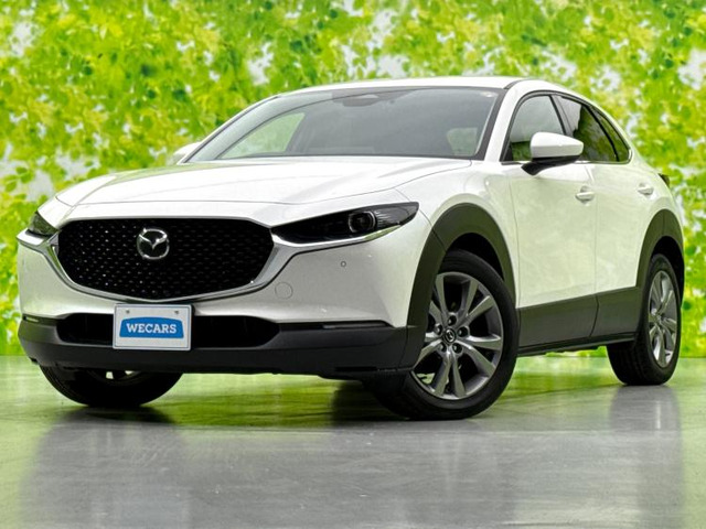 CX-302.0 20S プロアクティブ ツーリングセレクション