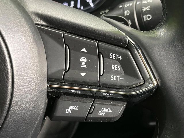 �y�}�c�_�E���[�_�[�N���[�Y�R���g���[���z�������H�ł̒��������s���y��!�����ő��x��ۂN���[�Y�R���g���[�����A�Փˌy���V�X�e���ƘA�g���A�O���̎ԗ������m���ĎԊԂ�ۂ悤�ɑ��x���߂��Ă���܂�!!