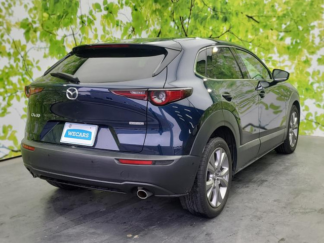 CX-302.0 20S プロアクティブ