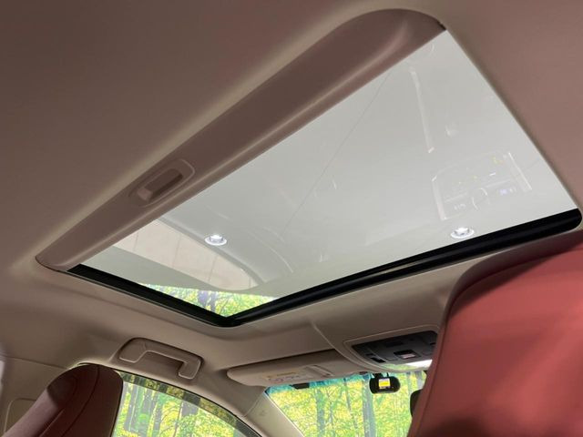 �y�T�����[�t�z�J���������Ղ�̊󏭑����A�T�����[�t����������Ă��܂�!�ԓ��ɖ�����������ꂽ��i�F���y���ވȊO�ɂ��A�ԓ��̋�C���ȒP�Ɋ��C�ł��ĉ��K�ł�!