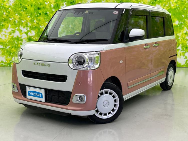 ムーヴキャンバスストライプス G