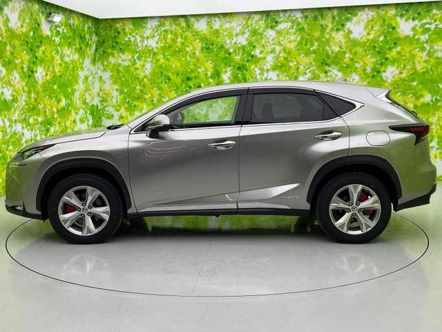 NX300h バージョンL 4WD