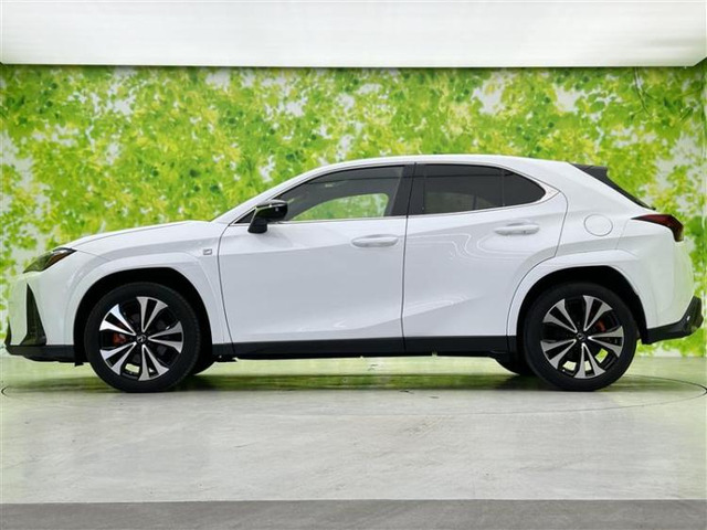 UX250h Fスポーツ エモーショナル エクスプローラー