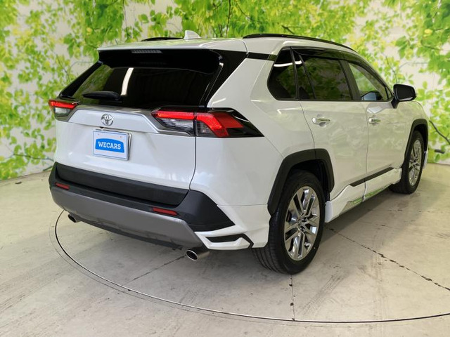 RAV42.0 G Zパッケージ 4WD